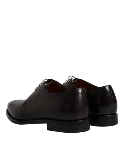 Dolce & Gabbana Brown Leather Lace Up Men Derby Formal Shoes